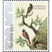 Nozeman &amp; Sepp&#039;s &quot;Birds of the Netherlands&quot; - Caribbean / Bonaire 2021 - 99