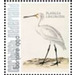 Nozeman &amp; Sepp&#039;s &quot;Birds of the Netherlands&quot; - Caribbean / Bonaire 2021 - 99