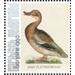 Nozeman &amp; Sepp&#039;s &quot;Birds of the Netherlands&quot; - Caribbean / Bonaire 2021 - 99