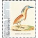 Nozeman &amp; Sepp&#039;s &quot;Birds of the Netherlands&quot; - Caribbean / Bonaire 2021 - 99