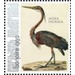 Nozeman &amp; Sepp&#039;s &quot;Birds of the Netherlands&quot; - Caribbean / Bonaire 2021 - 99