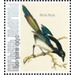 Nozeman &amp; Sepp&#039;s &quot;Birds of the Netherlands&quot; - Caribbean / Bonaire 2021 - 99