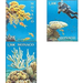 Oceanographic Museum of Monaco: Corals (2020) - Monaco 2020 Set