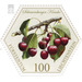 Old fruits: stone fruit - Schauenburger cherry  - Liechtenstein 2017 - 100 Rappen