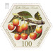 Old fruits: Stone fruit - Yellow Denise cherry  - Liechtenstein 2017 - 100 Rappen