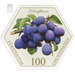 Old fruits: stone fruits - Kirkespflaume  - Liechtenstein 2017 - 100 Rappen