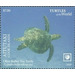 Olive Ridley Sea Turtle (Lepidochelys olivacea) - Aitutaki 2020 - 7