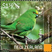 Orange-Fronted Parakeet (Cyanoramphus malherbi) - New Zealand 2020 - 1.30