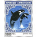 Orca (Orcinus orca) - Central Africa / Central African Republic 2021