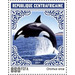 Orca (Orcinus orca) - Central Africa / Central African Republic 2021 - 850