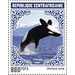 Orca (Orcinus orca) - Central Africa / Central African Republic 2021 - 850