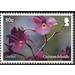 Orchid - Caribbean / Cayman Islands 2020 - 80