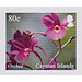 Orchids - Caribbean / Cayman Islands 2020 - 80