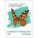 Painted Lady (Vanessa cardui) - Caribbean / Bonaire 2020 - 75