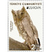 Pallid Scops Owl (Otus brucei) - Turkey 2019 - 2