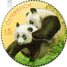 panda  - Austria / II. Republic of Austria 2003 - 100 Euro Cent