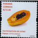 Papaya (Carica papaya) - Central America / Panama 2019 - 15