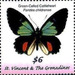 Parides childrenae - Caribbean / Saint Vincent and The Grenadines 2019 - 6