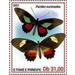 Parides eurimedes - Central Africa / Sao Tome and Principe 2021