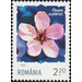 Peach Blossom - Romania 2020 - 2.20