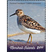 Pectoral Sandpiper (Calidris melanotos) - Micronesia / Marshall Islands 2019 - 1.50