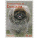 Pekingese Dog (Canis lupus familiaris) - Caribbean / Dominica 2013 - 1.45