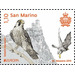 Peregrine Falcon (Falco peregrinus) - San Marino 2019 - 1.10