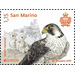 Peregrine Falcon (Falco peregrinus) - San Marino 2019 - 1.15