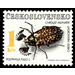 Pine Chafer (Polyphylla fullo) - Czechoslovakia 1992 - 1