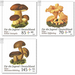 Plusmarke series: For the youth, motives mushrooms  - Germany / Federal Republic of Germany 2018 Set