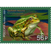 Pool Frog (Pelophylax lessonae) - Russia 2021 - 56
