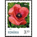 Poppy - Romania 2020 - 3.30