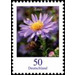 Postage stamps: flowers  - Germany / Federal Republic of Germany 2005 - 25 Euro Cent