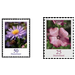 Postage stamps: flowers  - Germany / Federal Republic of Germany 2006 Set