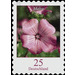 Postage stamps: flowers - self-adhesive  - Germany / Federal Republic of Germany 2006 - 25 Euro Cent