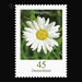 Postal stamp: flowers  - Germany / Federal Republic of Germany 2005 - 45 Euro Cent