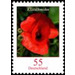 Postal stamp: flowers - Germany / Federal Republic of Germany 2005 - 55 Euro Cent