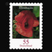 Postal stamp: flowers - self-adhesive - Germany / Federal Republic of Germany 2005 - 55 Euro Cent