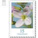 Postal stamp: flowers - self-adhesive  - Germany / Federal Republic of Germany 2018 - 15 Euro Cent