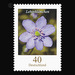 Postal stamps: flowers  - Germany / Federal Republic of Germany 2005 - 40 Euro Cent