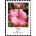 Postal stamps flowers - Germany / Federal Republic of Germany 2005