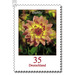 Postal stamps: flowers - Germany / Federal Republic of Germany 2006 - 35 Euro Cent