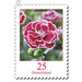 Postal stamps: flowers  - Germany / Federal Republic of Germany 2008 - 25 Euro Cent