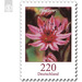 Postal stamps: flowers  - Germany / Federal Republic of Germany 2018 - 220 Euro Cent