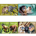 Primates (2020) - Caribbean / Cuba 2020 Set