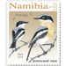 Pririt Batis (Batis pririt) - South Africa / Namibia 2020