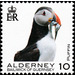 Puffin - Alderney 2020 - 10