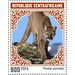 Puma (Puma concolor) - Central Africa / Central African Republic 2021 - 900