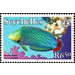 Queen Coris (Coris formosa) - East Africa / Seychelles 2010 - 6.50