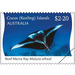 Reef Manta Ray (Mobula alfredi) - Cocos (Keeling) Islands 2021 - 2.20